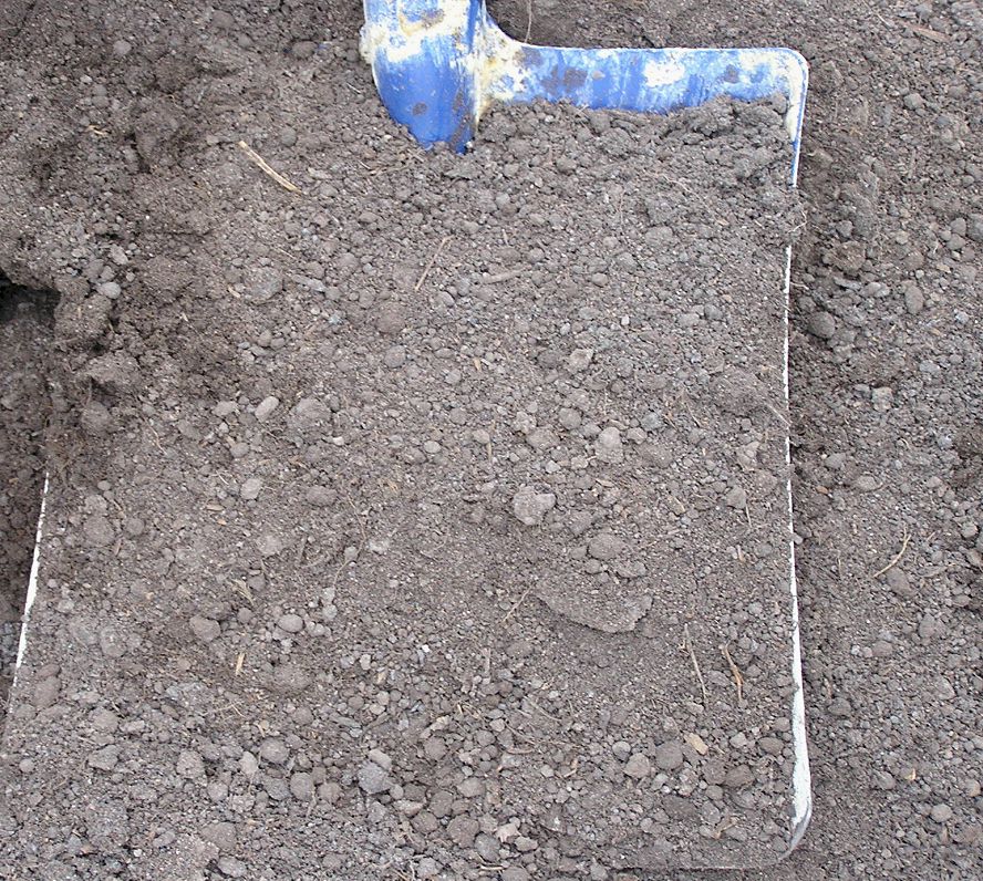 Tanami: Blended Topsoil